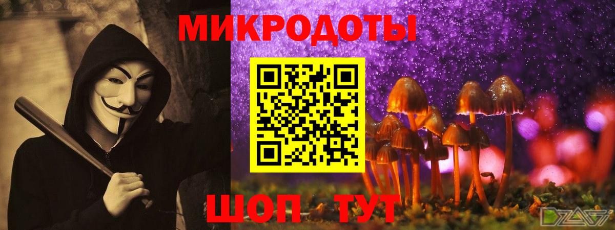 Клинцы  Псилоцибиновые грибы прущие грибы  Вход с VPN 