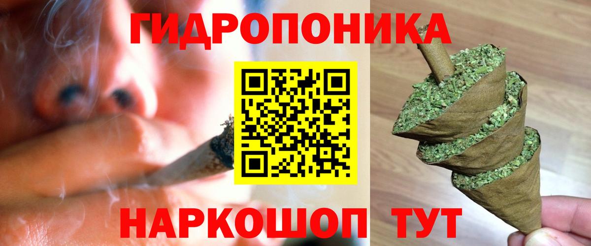 Бошки марихуана планчик  Вход с VPN  Бошки марихуана тримм  Клинцы  Конопля OG Kush 