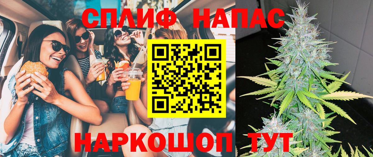 Бошки марихуана план Клинцы